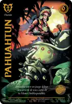 Pahuahtun