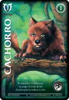 Cachorro
