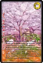 Sakura