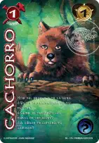 Cachorro
