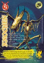 Knochen